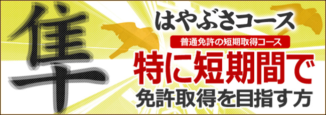 はやぶさコース